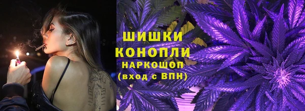 дурь Бердск